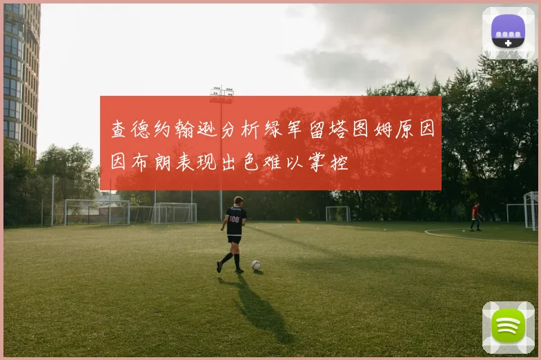 查德约翰逊分析绿军留塔图姆原因因布朗表现出色难以掌控